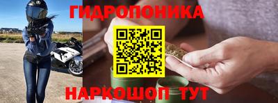 прущая мука Гусев
