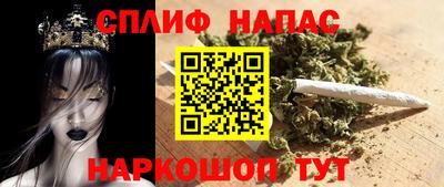 индика Гусь-Хрустальный