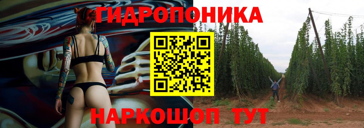 Бошки Шишки сатива  Конопля индика  Тихорецк  Вход с VPN 